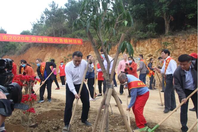 植樹造林，這群楷模這樣做