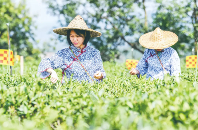國(guó)家批復(fù)同意，梧州籌建！