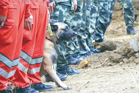 消防、武警、摩托車運輸隊等多方力量聯(lián)合搜救｜東航客機墜毀事故救援現(xiàn)場直擊