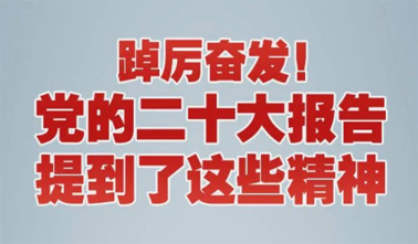【黨的二十大】踔厲奮發(fā)！黨的二十大報告提到了這些精神