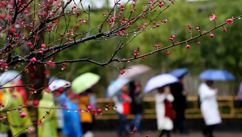 今日雨水！別忘了咱的老講究！
