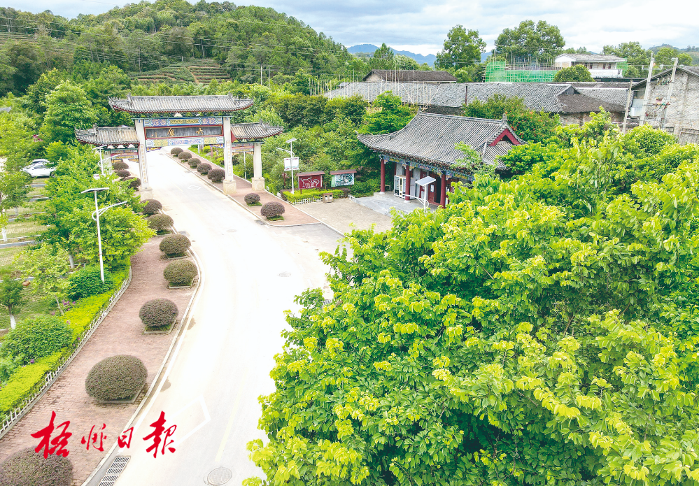 梧州全市生態(tài)茶園面積達(dá)33.34萬畝！