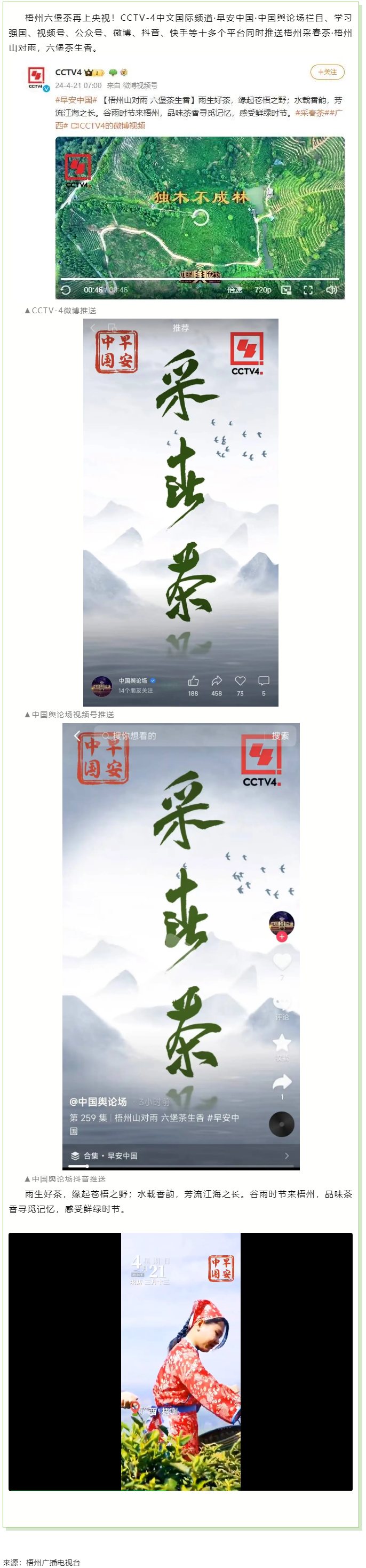 央視、學(xué)習(xí)強(qiáng)國等十多個平臺同時推送梧州采春茶·梧州六堡茶.png